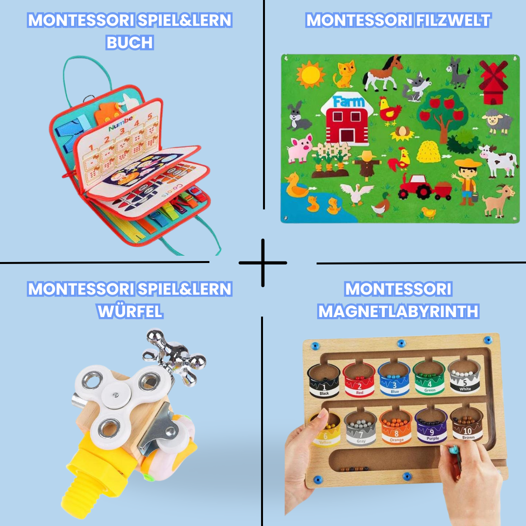 Montessori 4 - In-1 Play & Learn Set