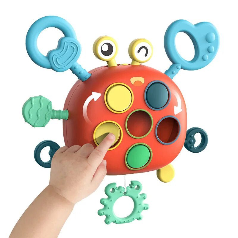 Sensory Development Toy for Babies