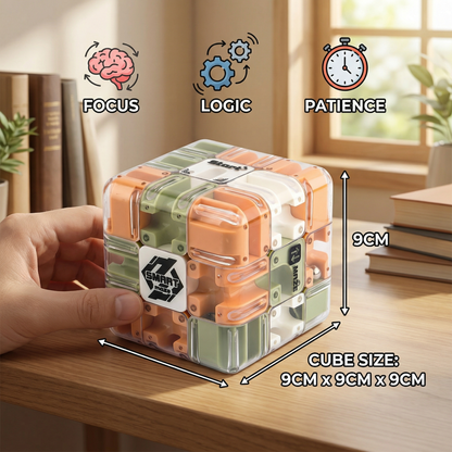 3D Labyrinth Puzzle Cube